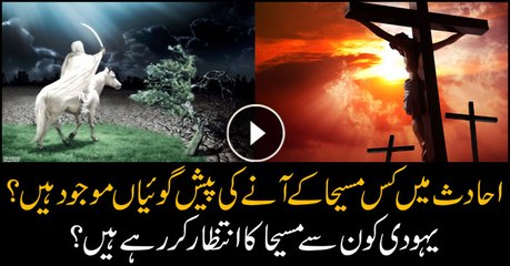 Arrival of which savior is being predicted in Hadith?