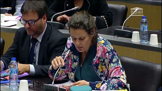 Commission des affaires culturelles et Commission des lois : Audition de Mme Françoise Nyssen, ministre - Mardi 22 mai 2018