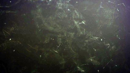 룰렛전략◁］〔⊙ KID16.TK ⊙〕［▷슈퍼카지노