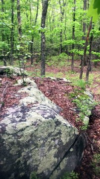 BRIAN GHILLIOTTI: EXPLORING LITHIC SITE ALONG CT I-395 SOUTH: NEW CAIRN FOUND BY TRI-BOULDER SYSTEM