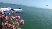 Nadir ayaklı göllerden olan Köyceğiz Gölü havaların ısınmasıyla turkuaz rengine dönüştü