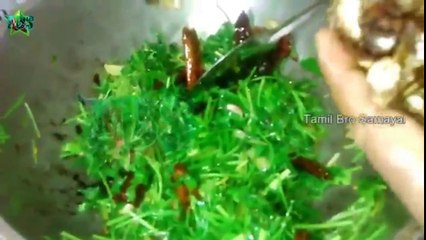 Koththamalli-Pirandai Thogayal Or Thovayal | Coriander & Adamant - கொத்தமல்லி, பிரண்டை துவையல் | Tamil Bro Samayal