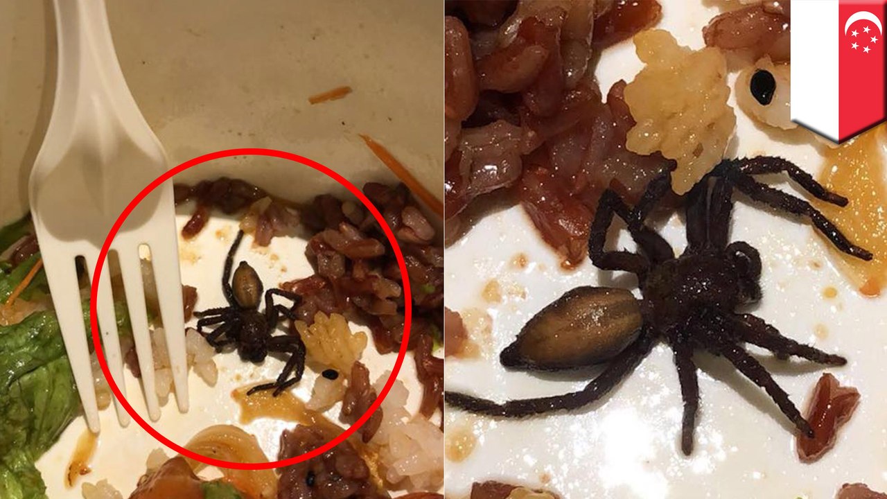 【異物混入】出前のサラダにクモ混入　シンガポールで - トモニュース