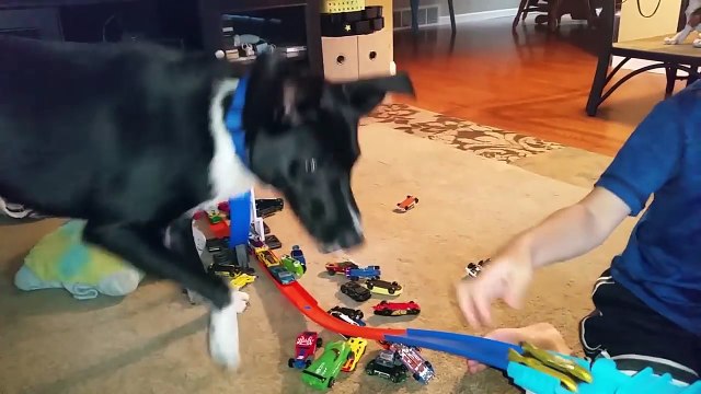 TRY NOT TO LAUGH - Funniest Animal Vines - Cute Pets Compilation | Funny Vines May 2018