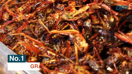 Bug Taste Testing