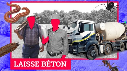 Urbanisation VS agriculture : la GUERRE DES SOLS est déclarée - Monkey