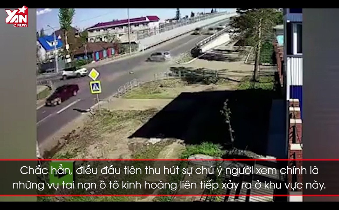 Clip hai chú chó dành cả thanh xuân hóng "biến" tai nạn giao thông khiến dân mạng cười rớt hàm