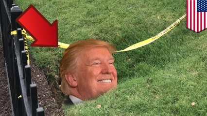 Sinkhole cracks open on the lawn of the commander-in-chief