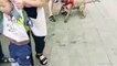 Cậu bé 4 tuổi bị chó Pitbull tấn công, cắn chặt không chịu nhả khiến người xem "thót tim"