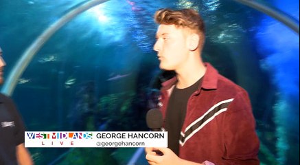 World Turtle Day at the Sea Life Centre