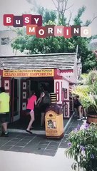 It's a busy morning at the Guavaberry Emporium! If you're planning a trip to St. Maarten, make sure to add a stop at our store on your list of things to do!