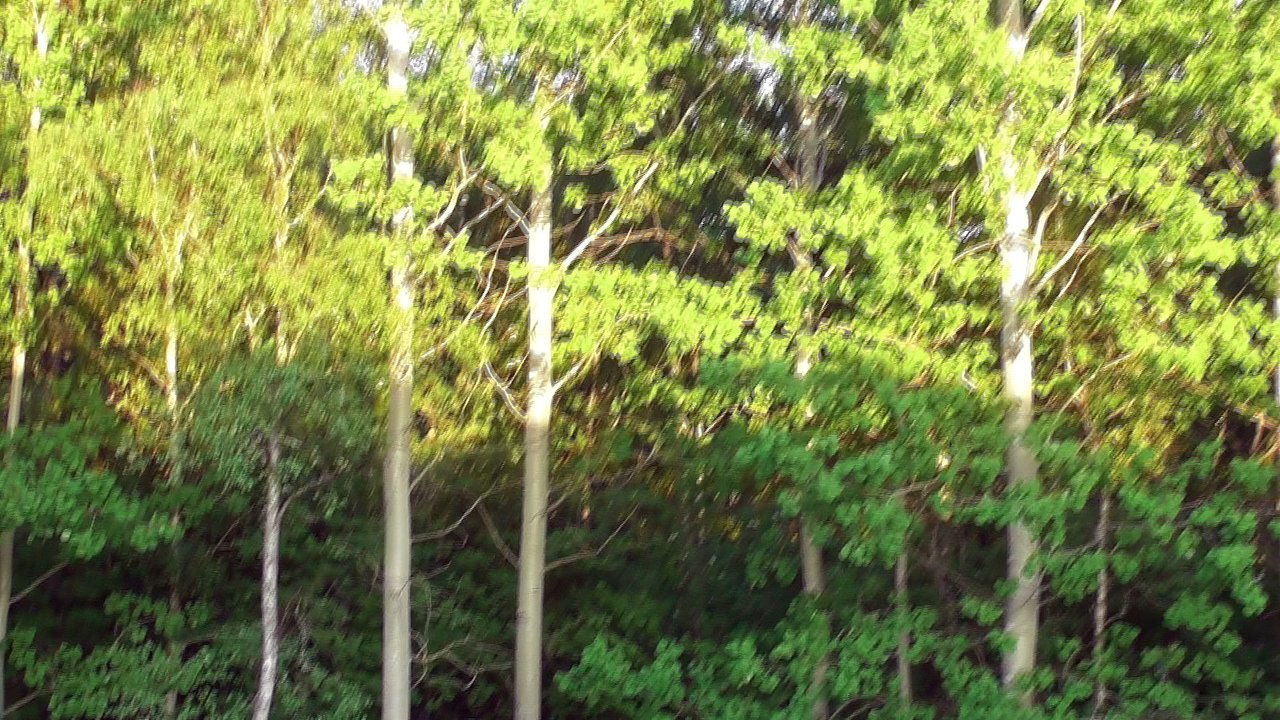 May 23 2018 DL8