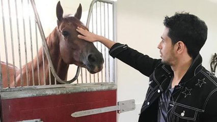 Siddharth Malhotra WRITES letter to PM Narendra Modi for Animal Protection |FilmiBeat