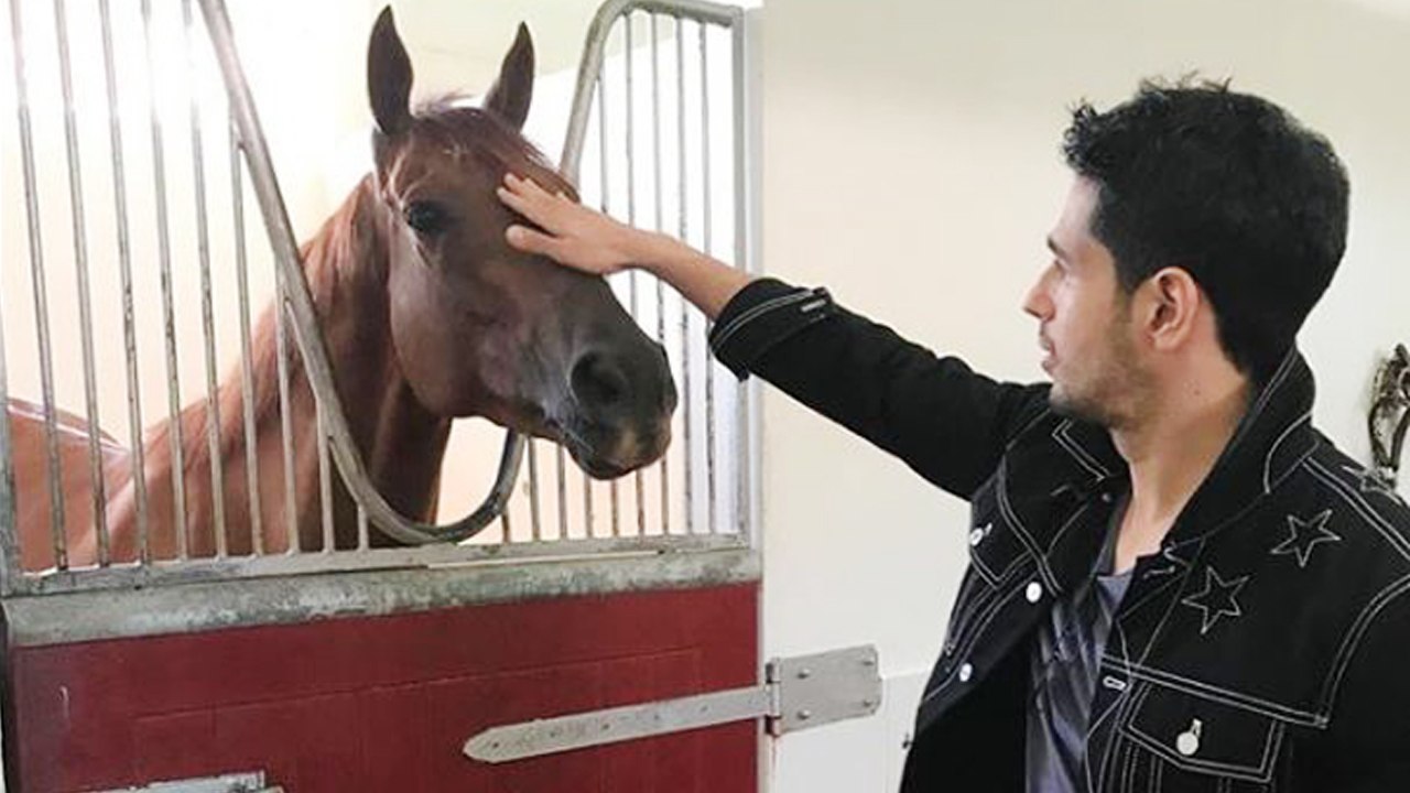 Siddharth Malhotra WRITES letter to PM Narendra Modi for Animal Protection |FilmiBeat
