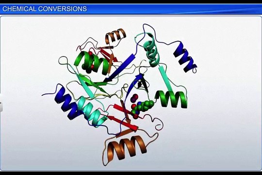 (7)CBSE Class 11 Biology, Biomolecules – 7, Chemical Conversions