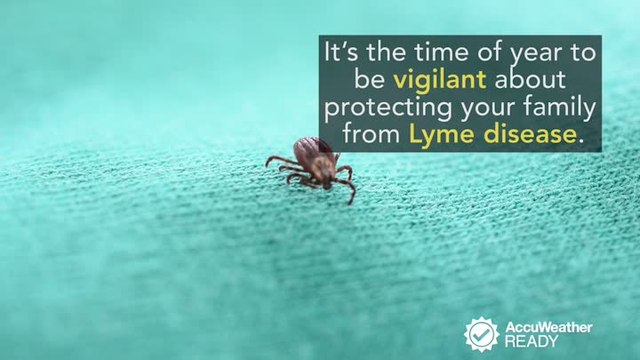 Protecting yourself against Lyme disease and tick bites