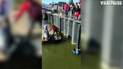 Tourist Rescues Drowning German Boy