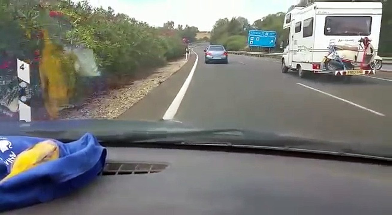 Cachorro persegue o carro de seus donos logo após ser abandonado