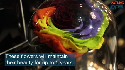 Luxury Florist For High End Flowers In Bangkok