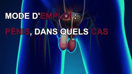 Pénis : 4 problèmes génitaux