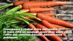 Greenpeace dénonce le manque de plats végétariens dans les cantines