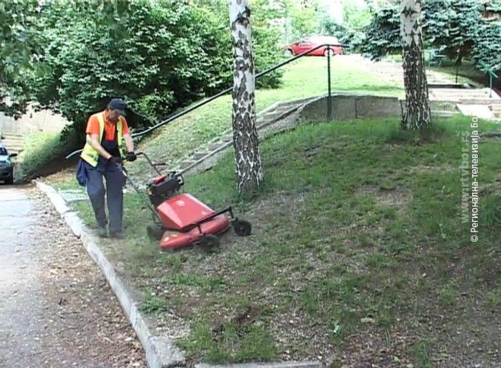 Pokošena polovina površina, 24.maj 2018. (RTV Bor)
