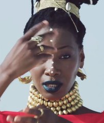 Fatoumata Diawara : «La musique africaine contemporaine n'a pas de frontière»