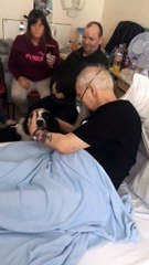 Idoso com doença terminal tem como último desejo ver seu cachorro pela última vez