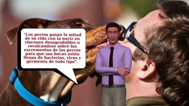 No Debes Dejar Que Los Perros Te Lamen La CaraLa Razón Mortal Por La Que No Debes Dejar Que Los Perros Te Lamen La Cara