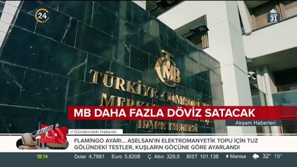 Merkez Bankası daha fazla döviz satacak