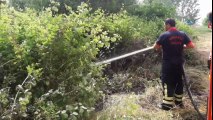 Kocaeli'de Hurdalıkta Başlayan Yangın Ağaçlık Alana Sıçradı