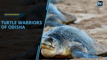 Turtle warriors embrace mission to save threatened species