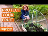 How to Protect Your Fruit From Birds and Critters | The Great British Garden Revival