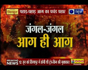 देवभूमि से वैष्णो देवी धाम तक आग का आतंक; तीन राज्यों में आग का 'आपातकाल'