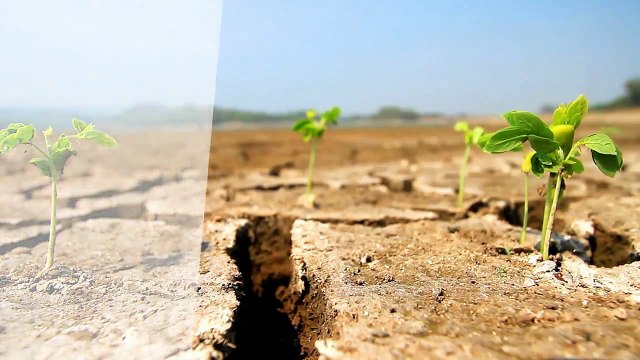 A vendre - Maison - TRIEL SUR SEINE (78510) - 6 pièces - 128m²