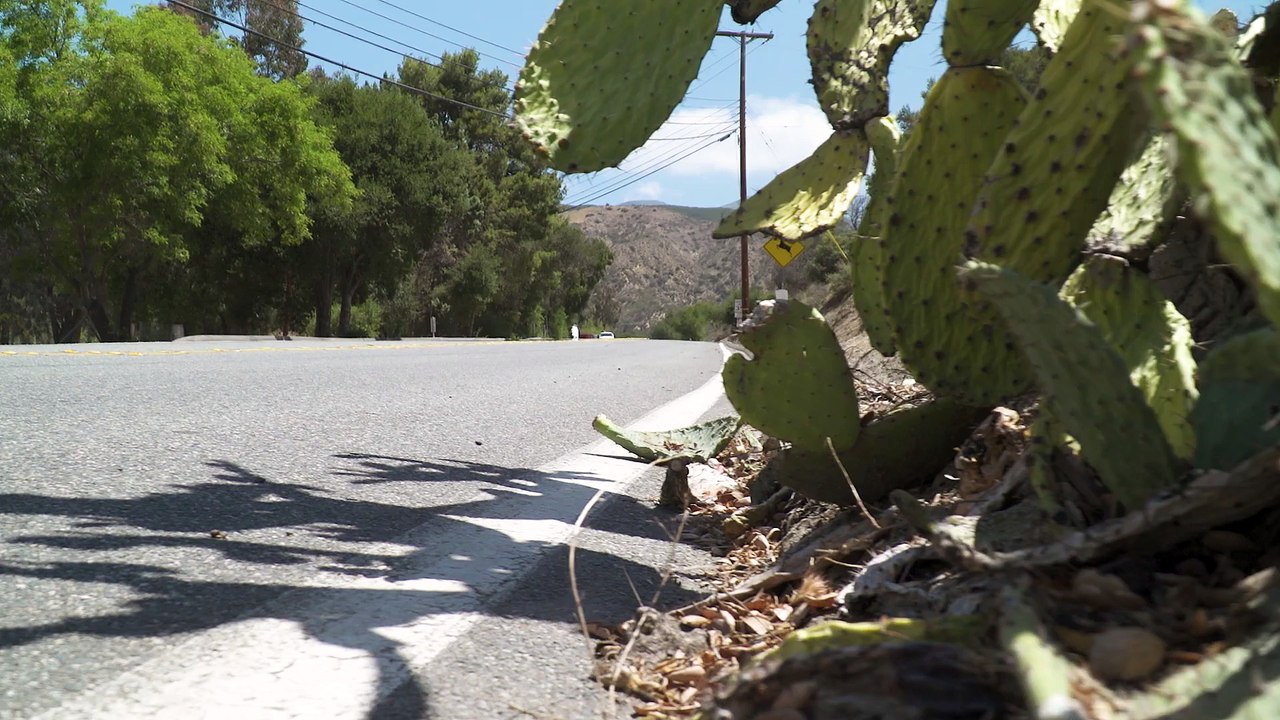 2018 Harley-Davidson Club-Style Softail Street Bob
