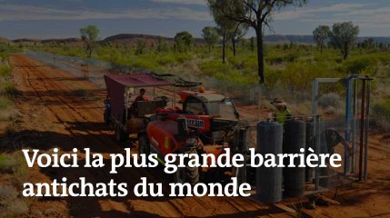 La plus grande barrière antichats du monde se trouve en Australie