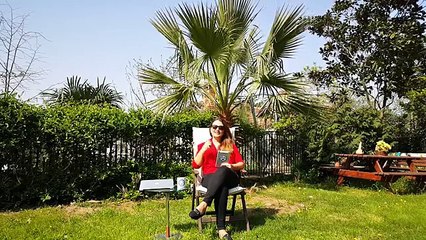 YAY Burcu 16-22 Nisan 2018 HAFTALIK Burç Yorumu, Demet Baltacı