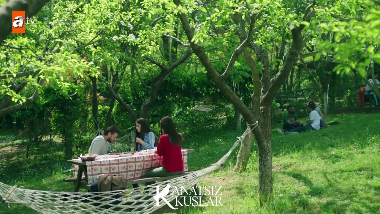 Zeynep’e evlenme teklifi eden Onur! - Kanatsız Kuşlar 46.Bölüm