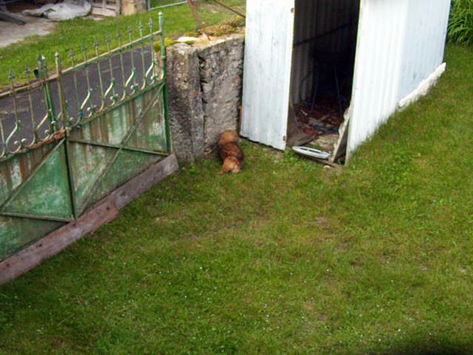 DSCN2723 mamie  péki  à  fond  la  caisse