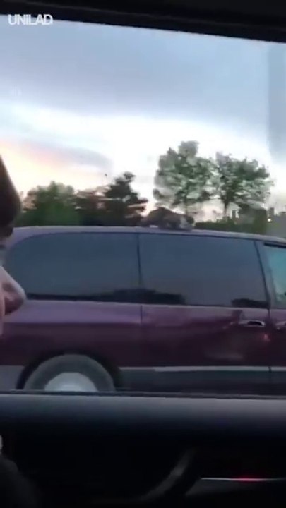 Un pauvre chat coincé sur le toit d'une voiture qui roule sur l'autoroute