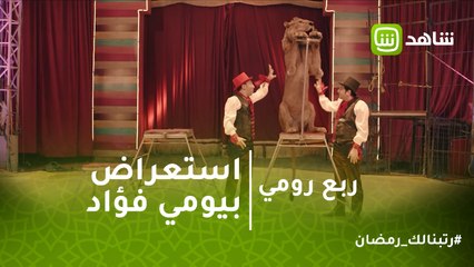 ربع رومي | استعراض بيومي فؤاد كأسد في السيرك