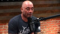 GSP Met His Childhood Bully - Joe Rogan Podcast