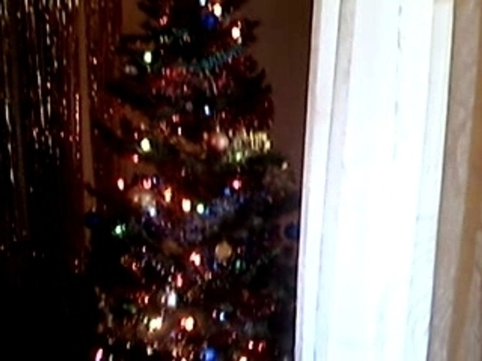 sapin