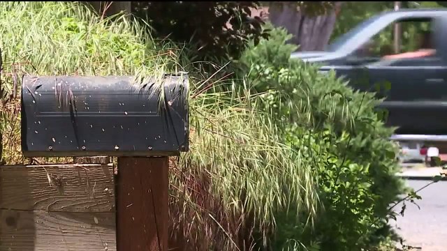 80-Year-Old Homeowner Shoots Suspected Intruder