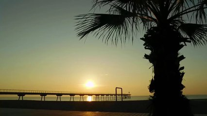 sonidos del mar y musica de fondo