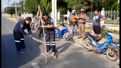 Sunbathing monitor lizard lashes out at rescuers after being disturbed