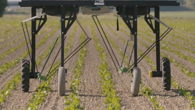 These weed-killing robots could give big agrochemical companies a run for their money