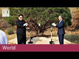 Korean leaders plant tree of peace