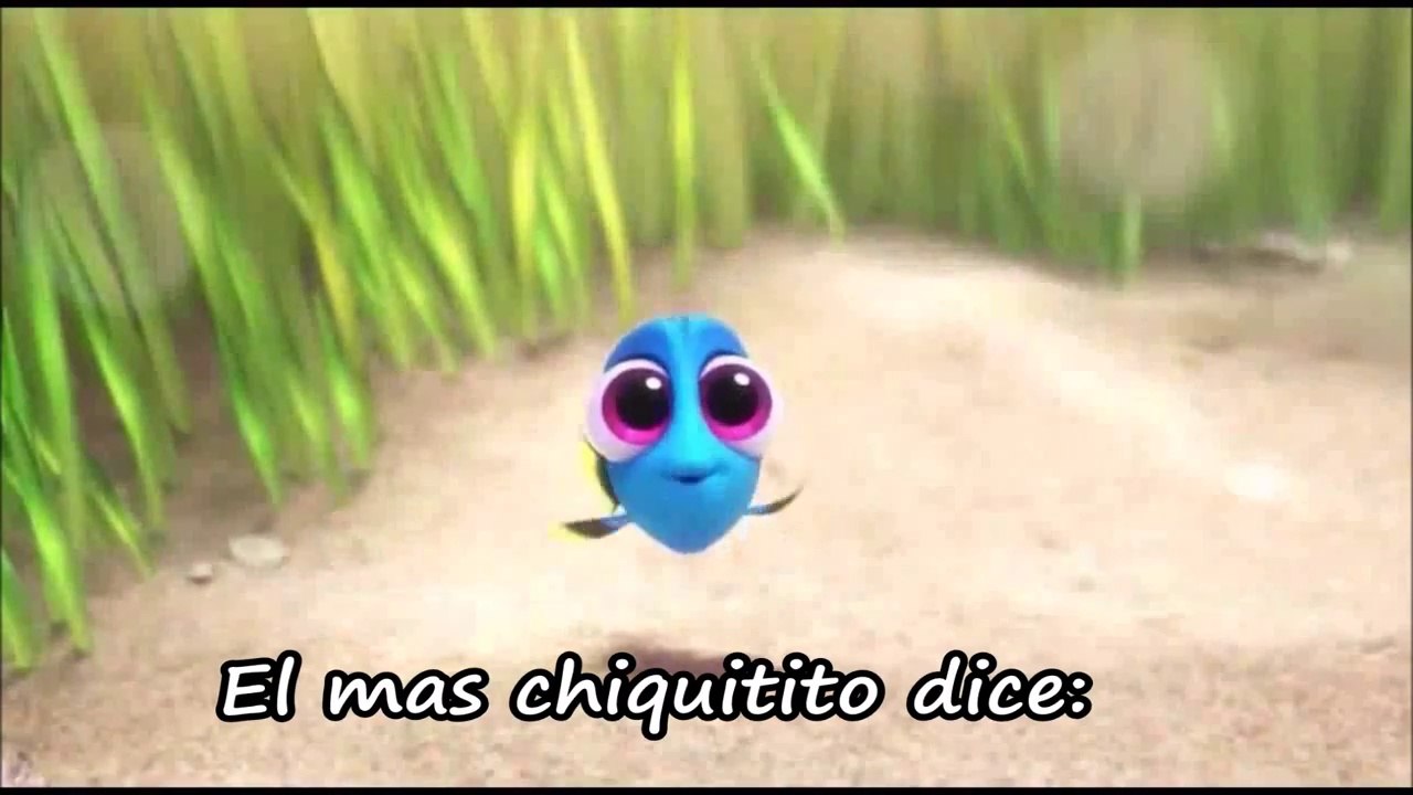 Saltan los Pecesitos